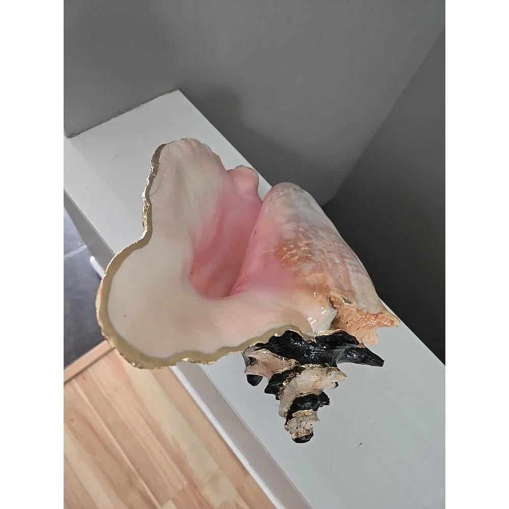 My Own Checkerboard Whimsical Large Vintage Conch Sea Shell Check